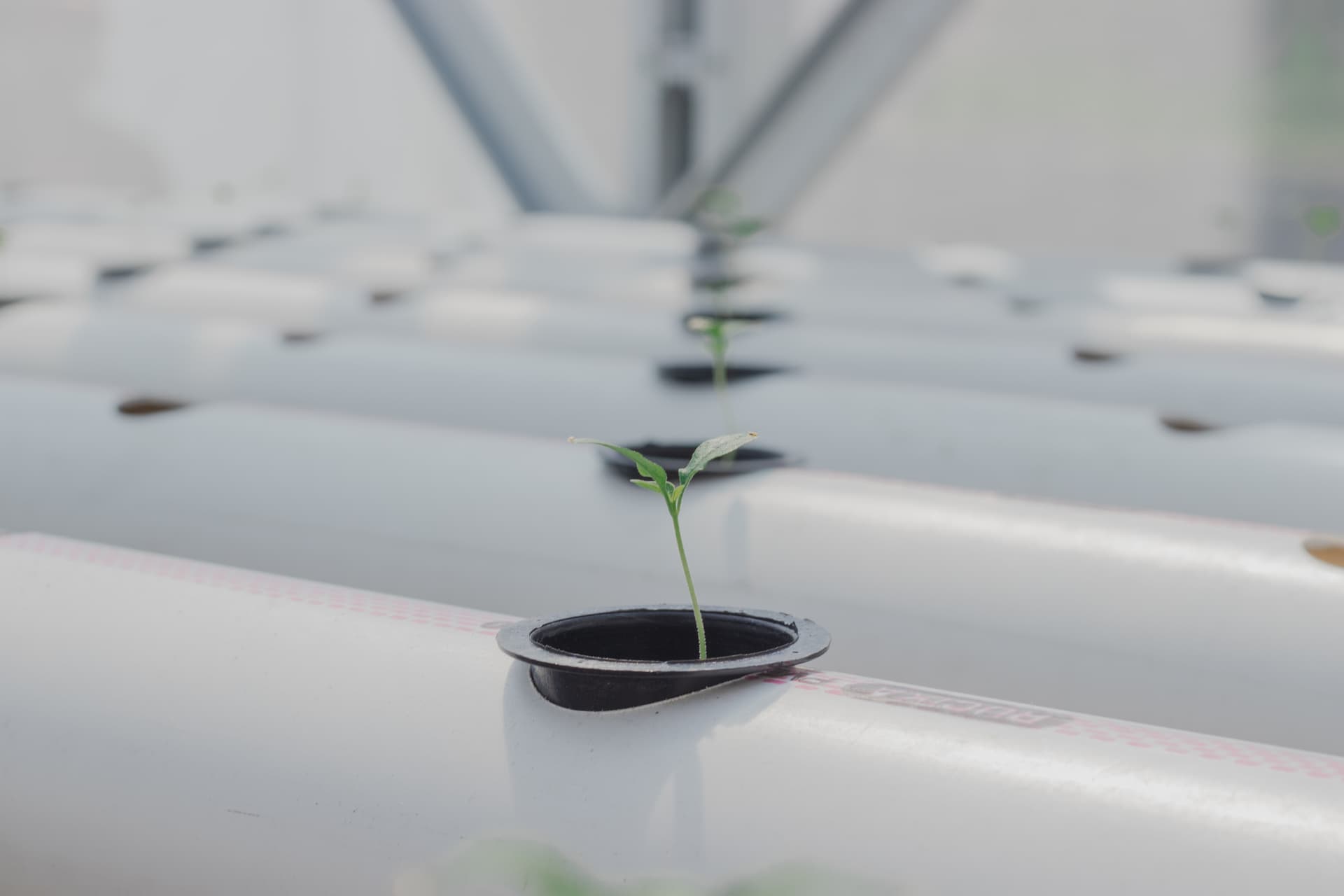 Hero Next-Gen Hydroponics 5